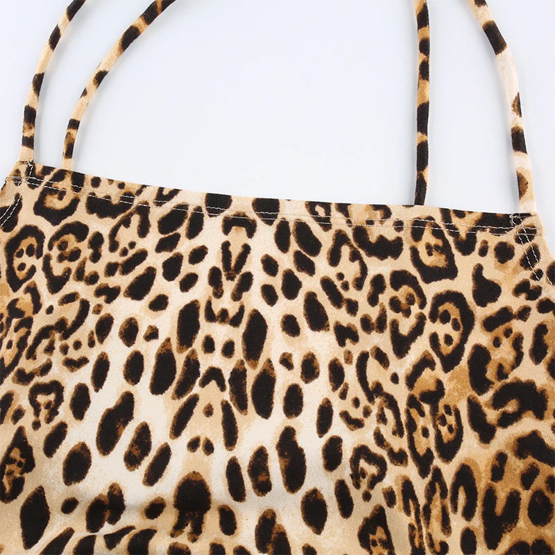 Top Leopard